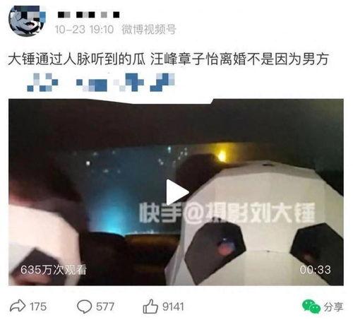 刘大锤爆料最新视频,热点事件背后惊人真相 第3张 刘大锤爆料最新视频,热点事件背后惊人真相 第3张