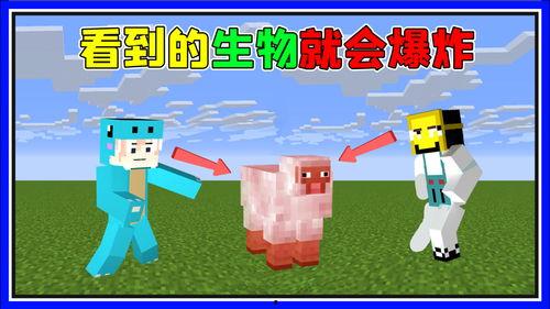 趣味生活爆料怎么做的视频,轻松制作短视频的实用指南  第2张